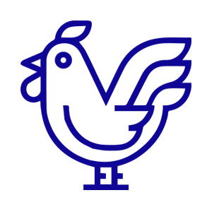 Chicken Series